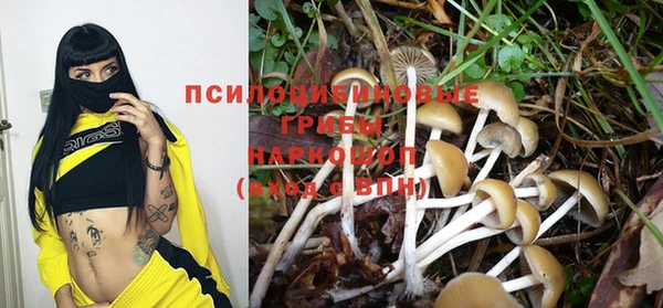 mdpv Верея