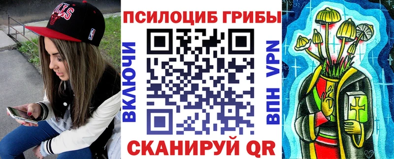 Псилоцибиновые грибы мицелий  Шимановск 